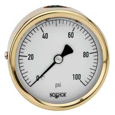 NOSHOK 25-310-300-PSI-SST-MIP-BT8