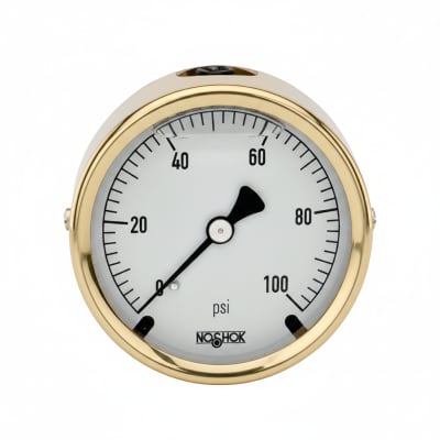 NOSHOK 25-310-300-PSI-SST-BFF-BT8-CC
