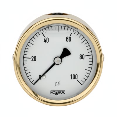 NOSHOK 25-310-300-PSI-SST-MIP-BFF-CC