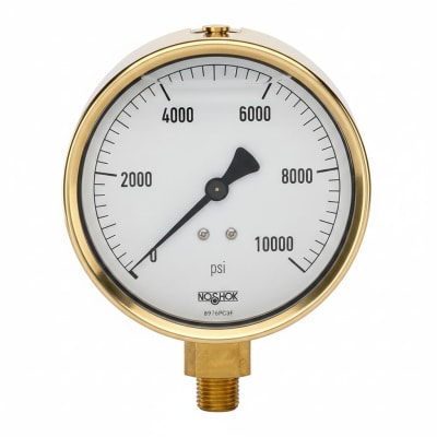 NOSHOK 25-310-2000-PSI-SST-MIP-CFF-BT8