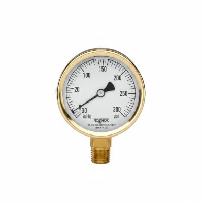 NOSHOK 25-310-300-PSI/BAR-SST-MIP-BFF-BT8-CC
