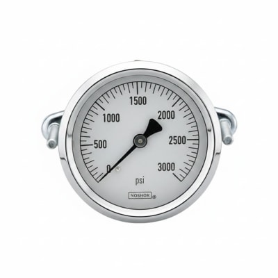 NOSHOK 25-310-200-PSI-SST-MIP-CBU-CC