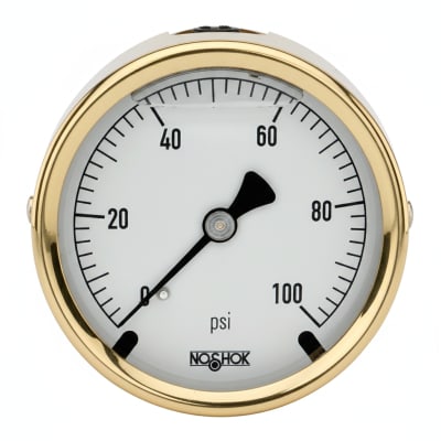 NOSHOK 25-310-300-PSI-SST-MIP-BT8-CC