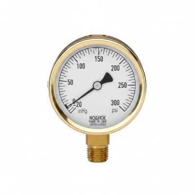 NOSHOK 25-310-300-PSI-SST-MIP-BFF-BT8