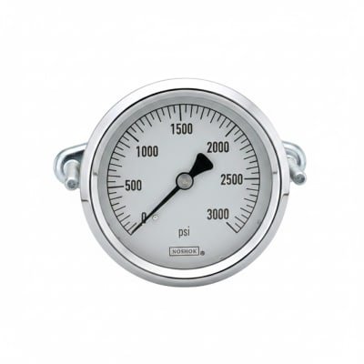 NOSHOK 25-310-200-PSI/KPA-SST-MIP-CBU-CC