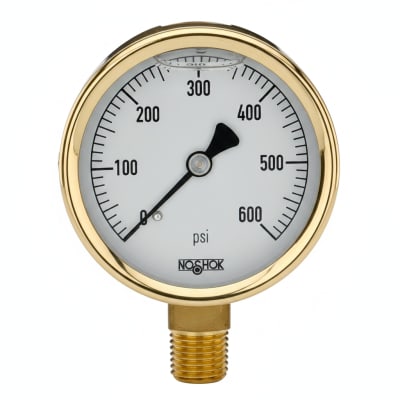 NOSHOK 25-310-300-PSI-SST-MIP-CFF-CC