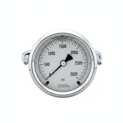 NOSHOK 25-310-300-PSI-SST-MIP-CBU-CC