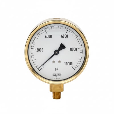 NOSHOK 25-310-2000-PSI-SST-BT8