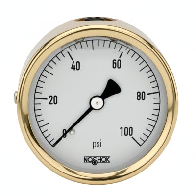 NOSHOK 25-310-300-PSI-SST-MIP-CBU-BT8