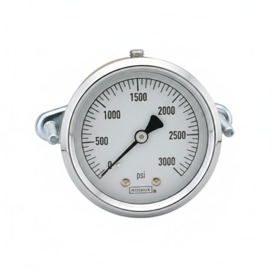 NOSHOK 25-310-300-PSI/BAR-SST-CBU