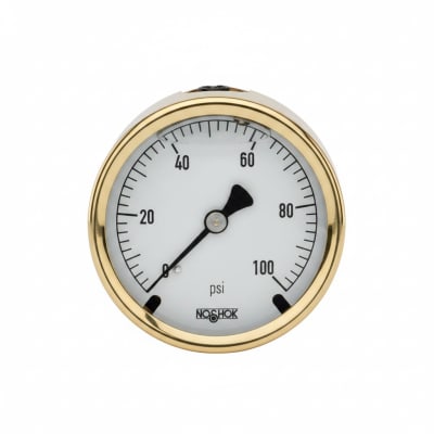 NOSHOK 25-310-300-PSI/BAR-SST-MIP-CBU