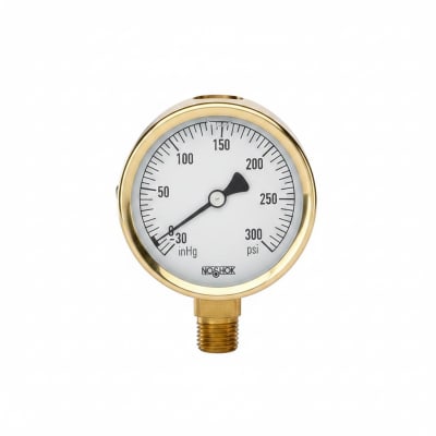 NOSHOK 25-310-300-PSI/KPA-SST-MIP-BT8