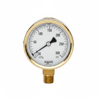 NOSHOK 25-310-300-PSI/BAR-SST-MIP-BFF-BT8