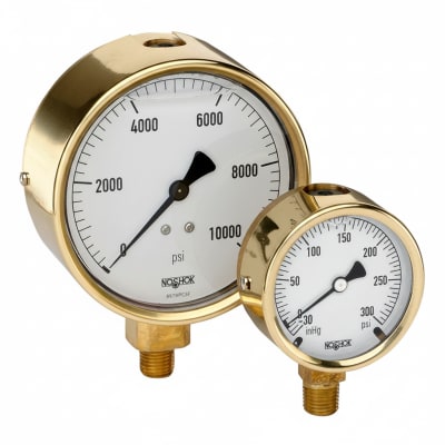 NOSHOK 25-310-300-PSI/KG/CM2-SST-MIP-BFF