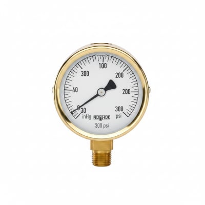 NOSHOK 25-310-300-PSI/KG/CM2-SST-MIP-CFF