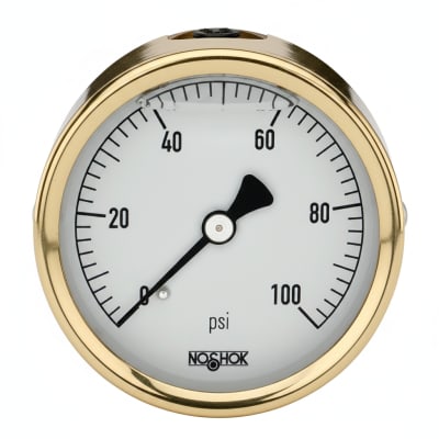 NOSHOK 25-310-3000-PSI/KG/CM2-SST-MIP-BT8