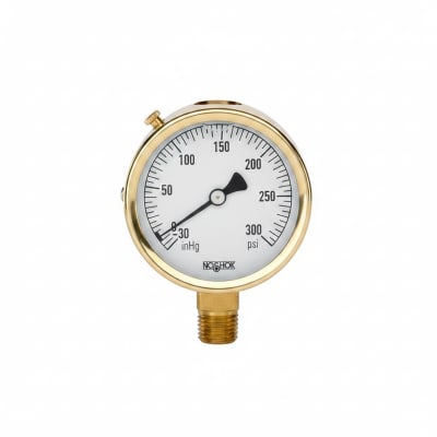 NOSHOK 25-310-300-PSI/KPA-SST-CFF-BT8