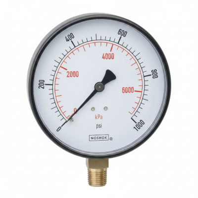 NOSHOK 25-310-300-PSI/BAR-SST-MIP-CFF