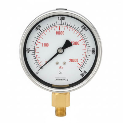 NOSHOK 25-310-3000-PSI/KG/CM2-SST-MIP-CFF-CC