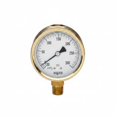 NOSHOK 25-310-300-PSI/KPA-SST-MIP-CBU-BT8-CC