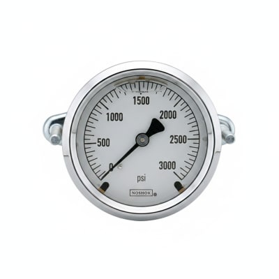 NOSHOK 25-310-300-PSI/KPA-SST-MIP-BT8-CC