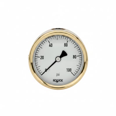 NOSHOK 25-310-300-PSI-SST-MIP-CBU-BT8-CC