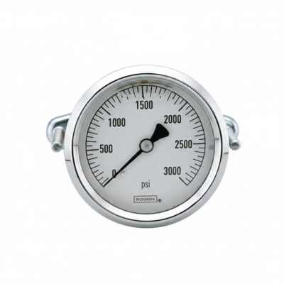 NOSHOK 25-310-3000-PSI/KG/CM2-SST-BFF-BT8
