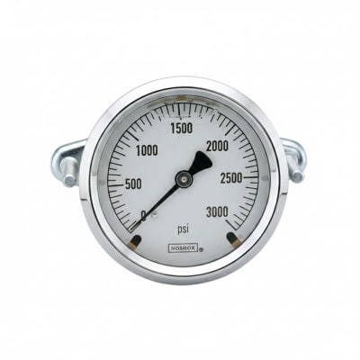 NOSHOK 25-310-300-PSI/KPA-SST-MIP-CFF-BT8-CC