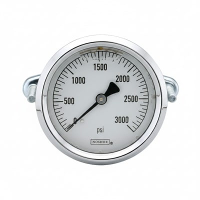 NOSHOK 25-310-300-PSI/KPA-SST-MIP-CBU