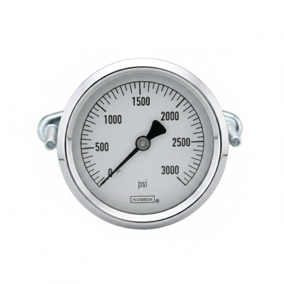 NOSHOK 25-310-3000-PSI/KG/CM2-SST-MIP-BFF
