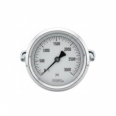 NOSHOK 25-310-400-PSI/KG/CM2-SST-MIP-BFF-CC