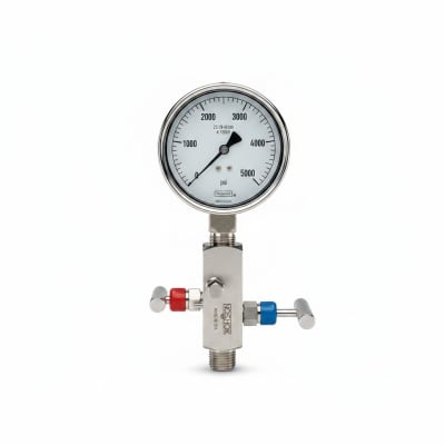NOSHOK 25-310-400-PSI/BAR-SST-MIP-BFF-BT8