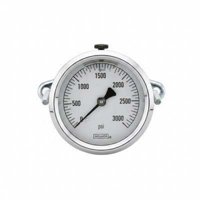 NOSHOK 25-310-400-PSI/KPA-SST-CFF-BT8-CC