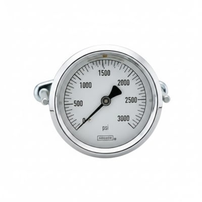 NOSHOK 25-310-60-PSI/KG/CM2-SST-MIP-BT8