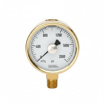 NOSHOK 25-310-60-PSI/KG/CM2-SST-MIP-CFF-BT8