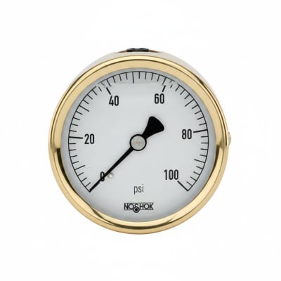 NOSHOK 25-310-600-PSI-SST-MIP-BT8-CC