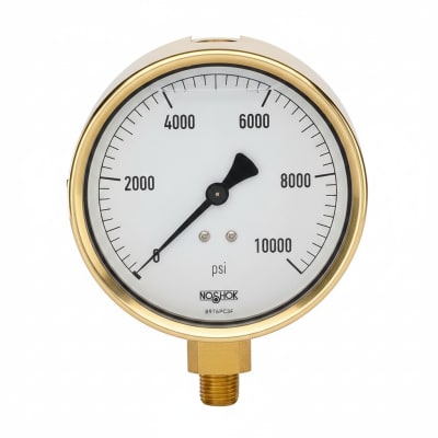 NOSHOK 25-310-60-PSI/KG/CM2-SST-BFF-CC