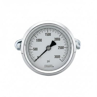 NOSHOK 25-310-400-PSI/BAR-SST-MIP-CFF