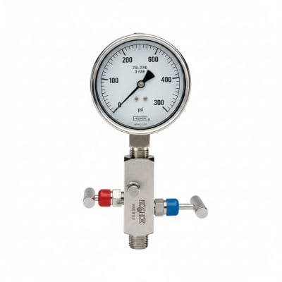 NOSHOK 25-310-600-PSI/BAR-SST-BT8