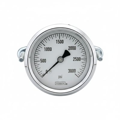 NOSHOK 25-310-600-PSI-SST-CBU-AR