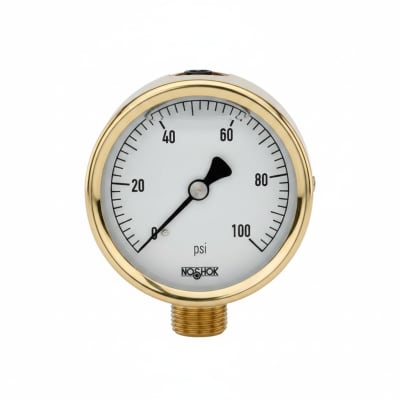 NOSHOK 25-310-600-PSI-SST-MIP-CFF-BT8-CC