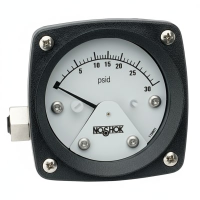 NOSHOK 25-310-600-PSI-SST-MIP-BFF-CC
