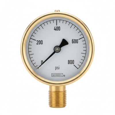 NOSHOK 25-310-600-PSI/BAR-SST-MIP-CFF