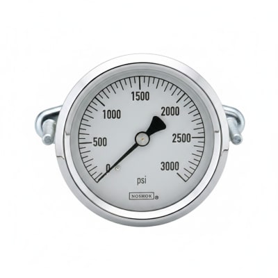 NOSHOK 25-310-600-PSI/BAR-SST-CFF
