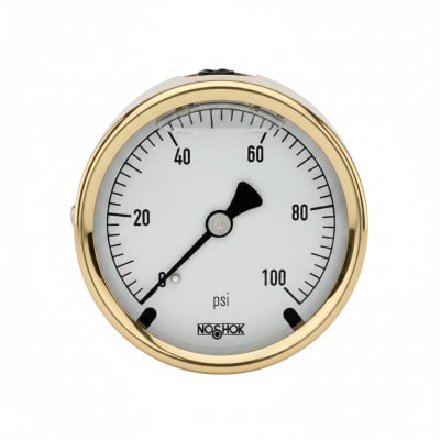NOSHOK 25-310-600-PSI-SST-BFF-HL-O2