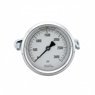 NOSHOK 25-310-600-PSI/BAR-SST-CBU-BT8-CC