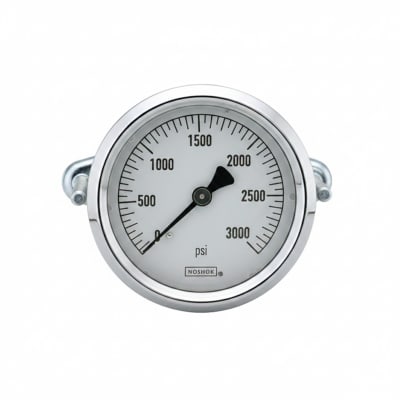 NOSHOK 25-310-600-PSI/BAR-SST-CBU-AR