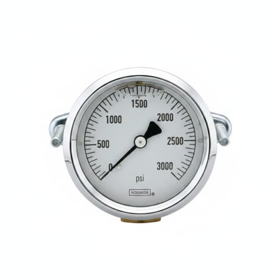 NOSHOK 25-310-600-PSI/BAR-SST-CBU