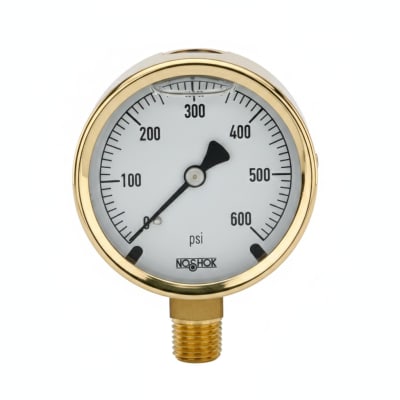 NOSHOK 25-310-600-PSI/KPA-SST-CBU-BT8-CC