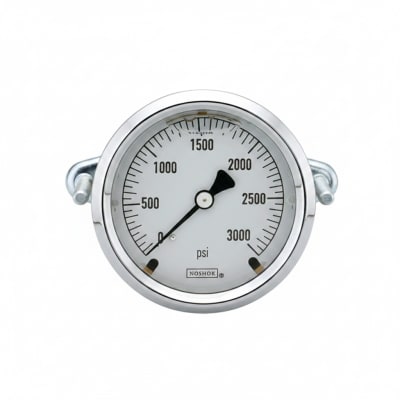 NOSHOK 25-310-600-PSI/KPA-SST-CFF-BT8